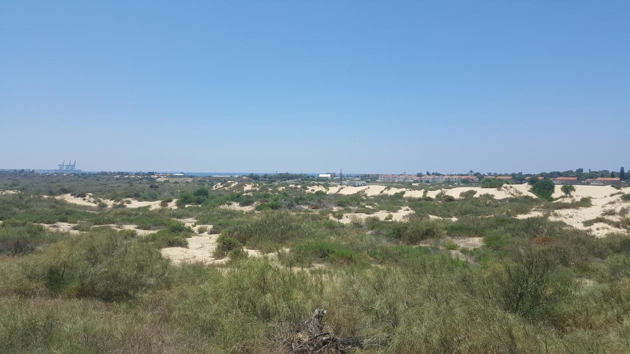 Neot Golf Caesarea Garden Apartment Dış mekan fotoğraf